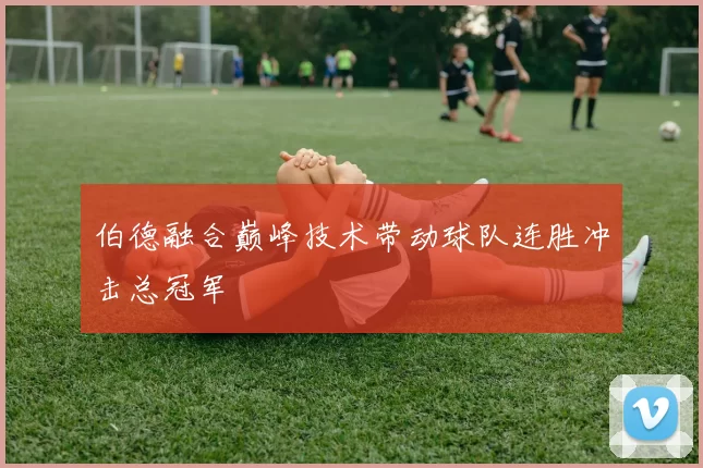伯德融合巅峰技术带动球队连胜冲击总冠军