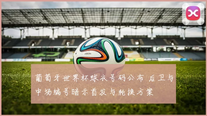 葡萄牙世界杯球衣号码公布 后卫与中场编号暗示首发与轮换方案