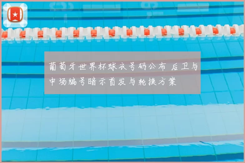 葡萄牙世界杯球衣号码公布 后卫与中场编号暗示首发与轮换方案