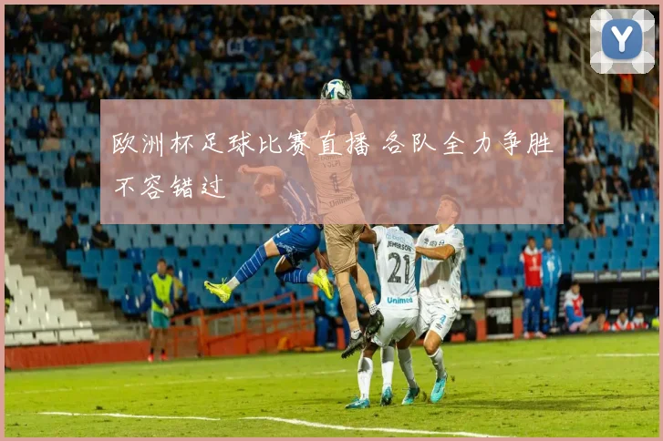 欧洲杯足球比赛直播 各队全力争胜不容错过