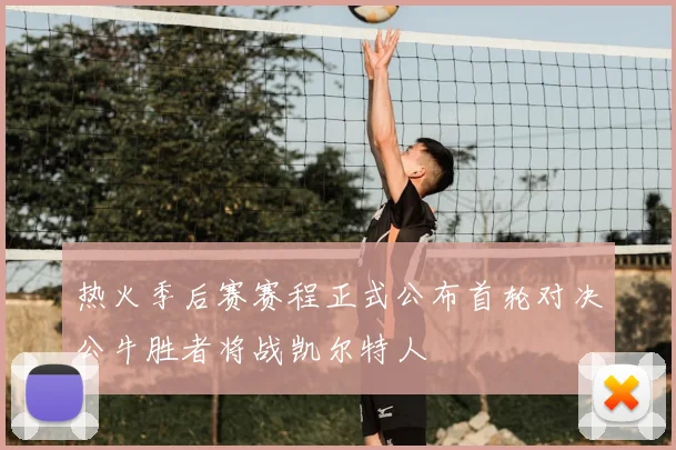 热火季后赛赛程正式公布首轮对决公牛胜者将战凯尔特人
