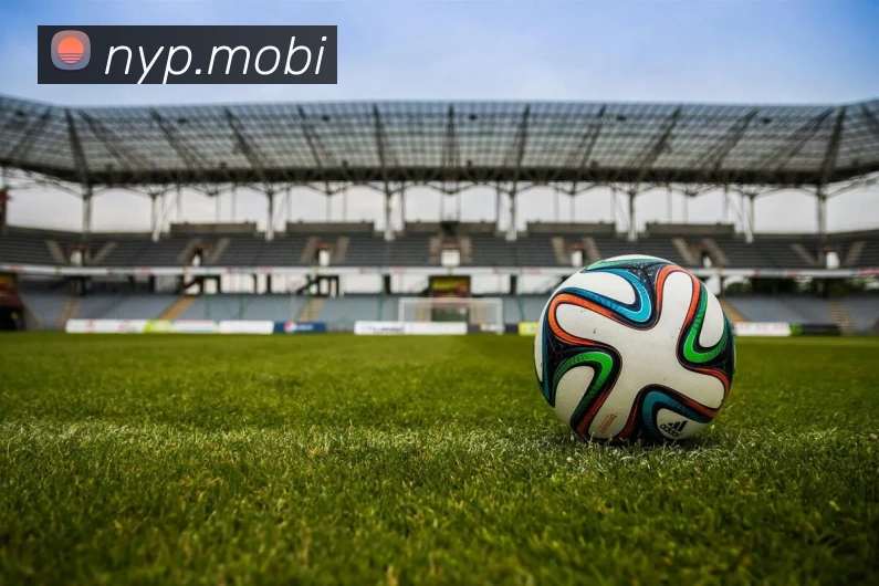 App Interface Preview