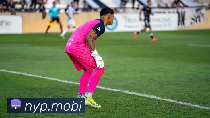 人人直播免费高清NBA|英超|CBA直播 - 人人体育在线赛事观看 - 人人体育直播APP 封面图